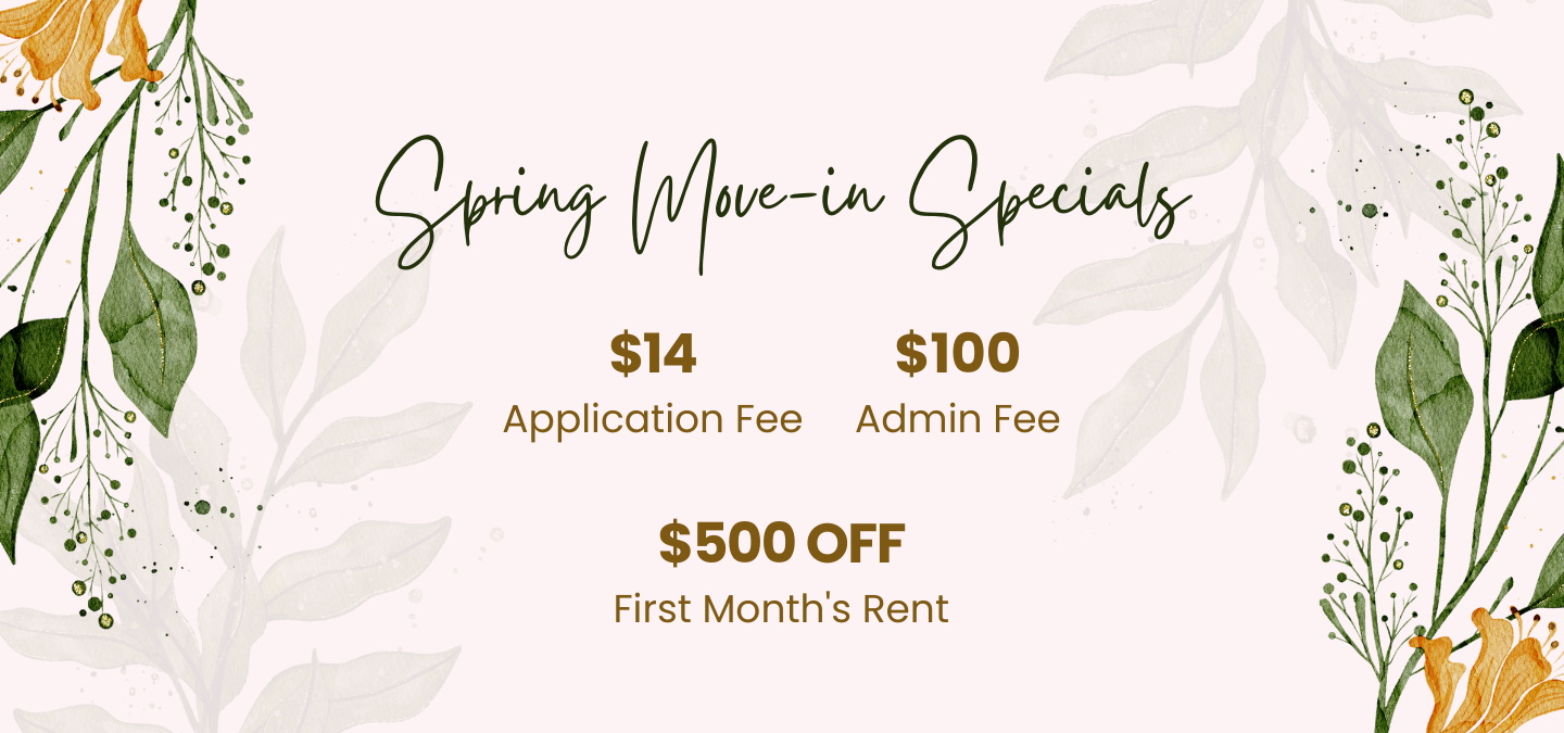 $14 application fee $100 admin fee $500 off first month rent